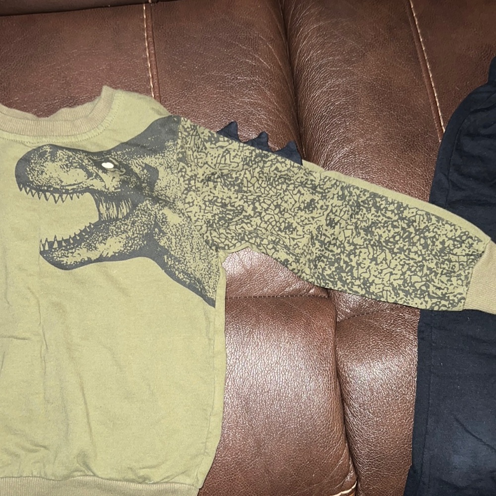 Worn Once 2pc Dinosaur Outfit